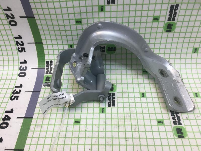 Петля двери багажника левая Audi Q5